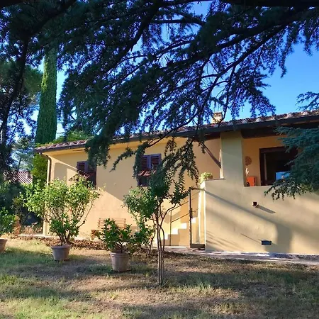 The Colours Of Chianti *