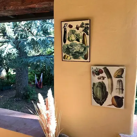 The Colours Of Chianti Holiday home