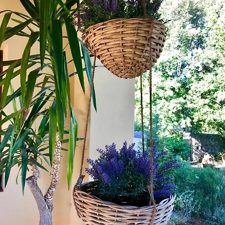 Holiday home The Colours Of Chianti Mercatale Val Di Pesa